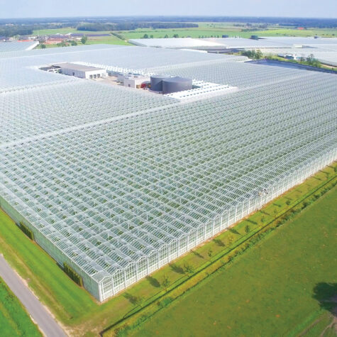 Growing Opportunities: High-Tech Greenhouse